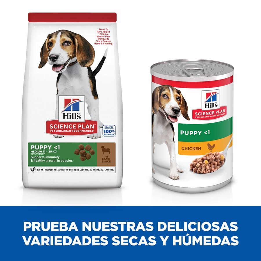 14 kg Hill's Science Plan Puppy Medium Ra&ccedil;&atilde;o de cordeiro e arroz para c&atilde;es, , large Imagem n&uacute;mero 6